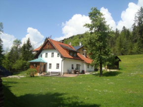 Ferienhaus Waldbankerl, Bad Goisern Am Hallstättersee, Österreich